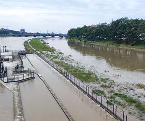 Fala powodziowa we Wrocławiu. Pod wodą są już beach bary i drogi 