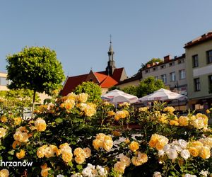 Chrzanów. Najlepsza gmina do życia w Małopolsce 2025