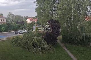 Burza na Opolszczyźnie. W Kędzierzynie-Koźlu wielkie zniszczenia