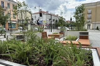 Kilka zielonych krzaczków wśród betonu. Nowa strefa relaksu podzieliła mieszkańców Białegostoku [ZDJĘCIA]