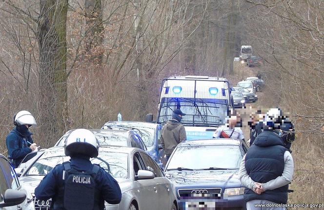 Kibole Zagłębia i Górnika czekali w lesie na fanatyków Karkonoszy 
