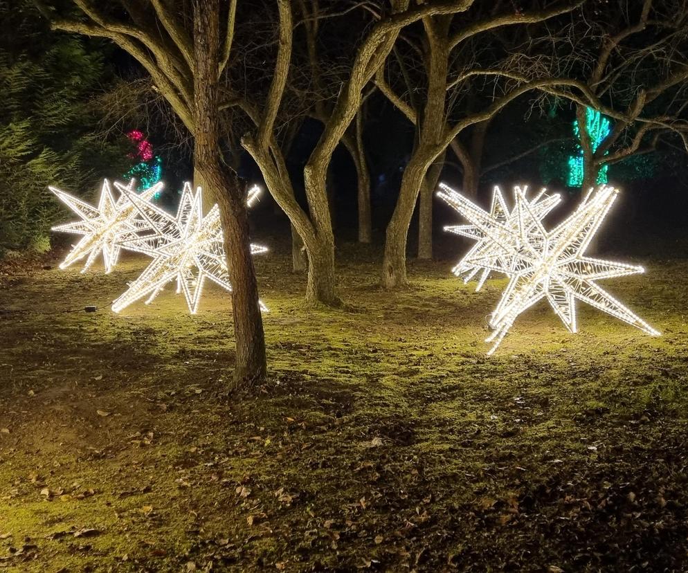 Ogród Botaniczny znowu zaświeci tysiącem światełek. Wraca Park Iluminacji  