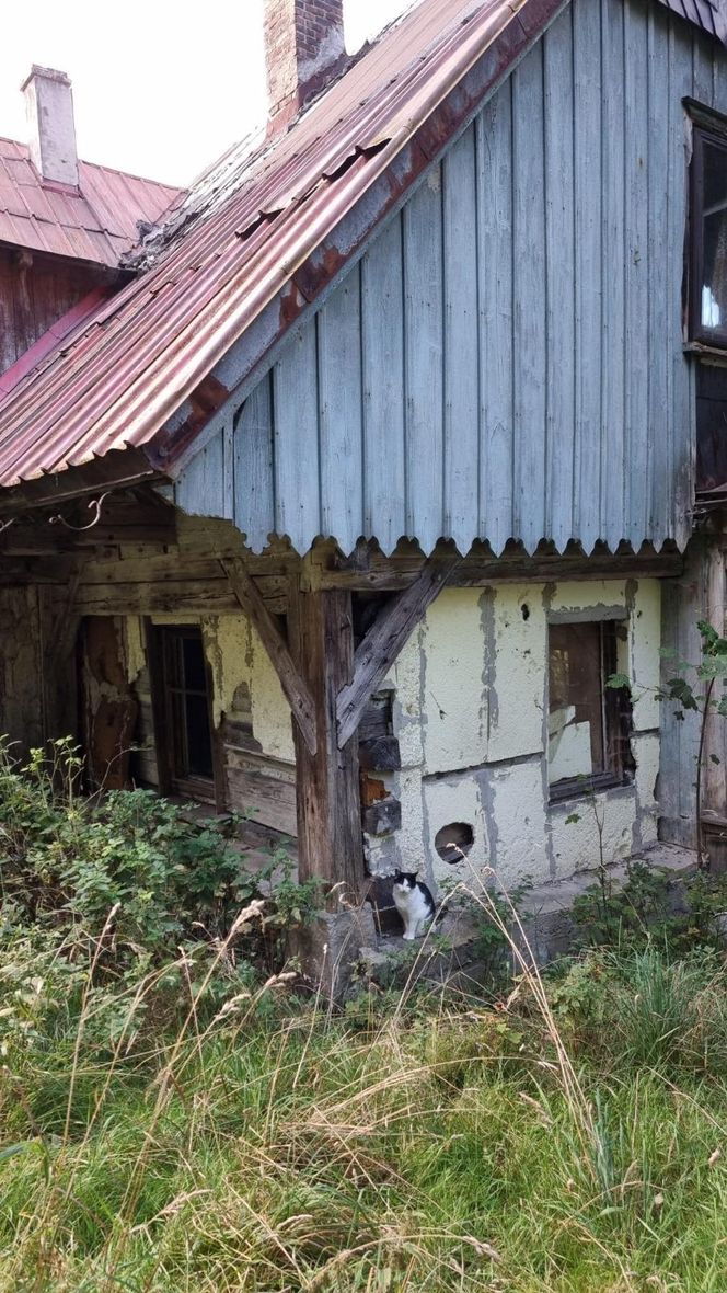 "Dostrzec, zrozumieć, ocalić – Domy przysłupowe". Projekt inwentaryzacji domów przysłupowych zainicjowany przez Małgorzatę Maszkiewicz (Dolina Domów Przysłupowych) - powstała bogata dokumentacja oraz zdjęcia