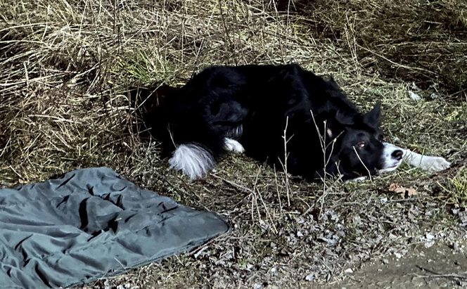  Zaginiony 57-latek spod Radomska nie żyje. To nie koniec poszukiwań