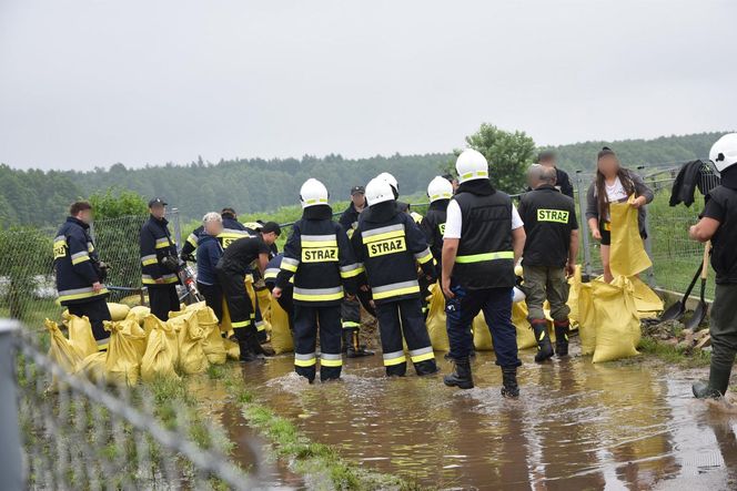 Słuchaj komunikatów