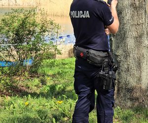 Makabryczne odkrycie w Warszawie: ciało w stawie przy pętli tramwajowej