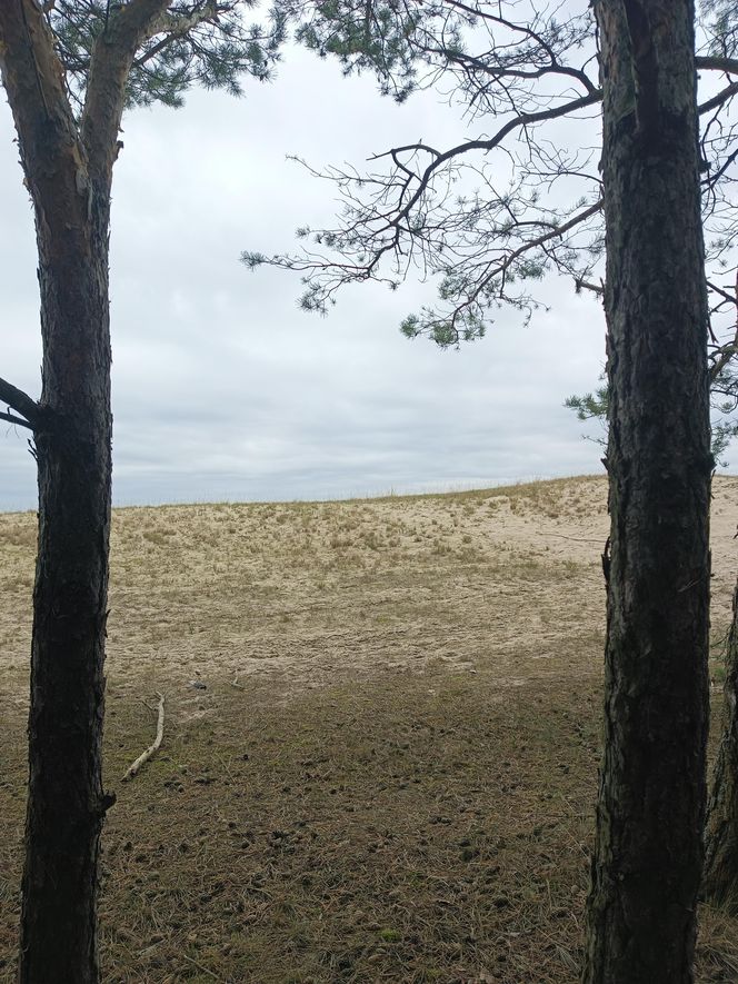 Polskie wybrzeże poza sezonem. Te plaże warto odwiedzić jesienią i zimą 