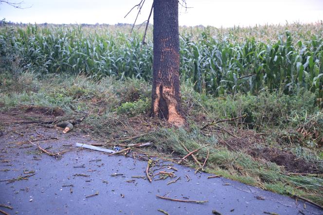 Wielkopolskie. Mercedes uderzył w drzewo! 26-letni pasażer nie żyje! 