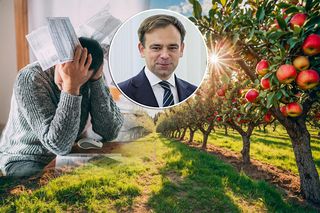 Rząd uderza w cydr. Szok w branży i potężny cios dla sadowników