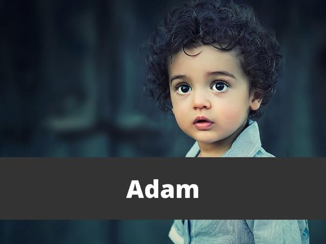 Adam