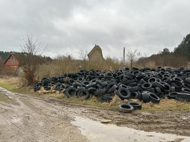 Rodzinna tragedia. Zabił brata nożem do chleba. Jeden szczegół zdradził sprawców