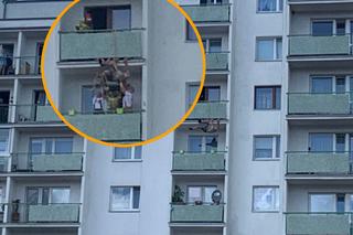 Horror w Toruniu. Mężczyzna zawisł na 8. piętrze