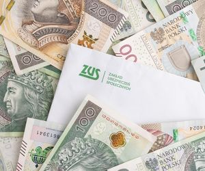Renta ZUS po 50. roku życia. Dla kogo?