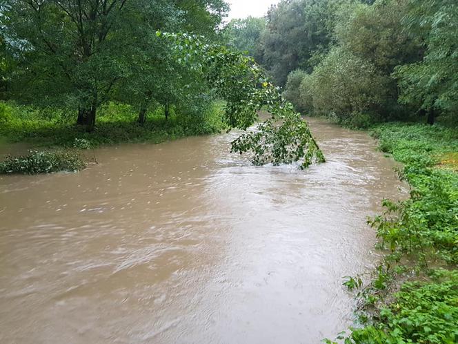 Wezbrane rzeki na Dolnym Śląsku