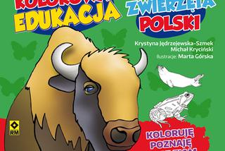 Kolorowanka edukacyjna zwierzęta Polski. Zaprzyjaźnij się ze zwierzętami Polski!