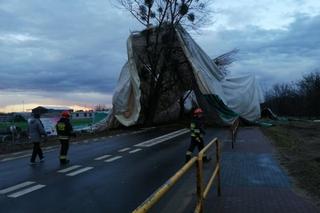 Wiatr zerwał halę sportową w Łajskach