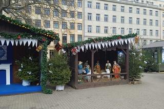 Choinka w Poznaniu 24 lutego