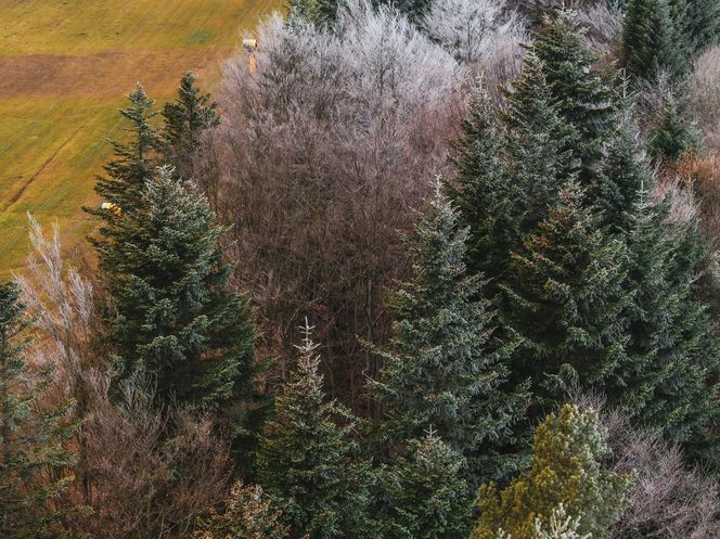 Najpiękniejsza wieża widokowa w Małopolsce w zimowej scenerii. Już zapraszają turystów 