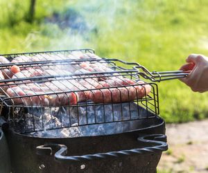 W Krakowie będą nowe strefy grillowania? Wyznaczy je ZZM