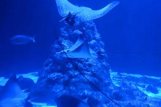 Nowy mieszkaniec zoo w Warszawie