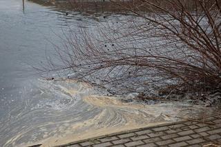 Alarm na Wiśle w Toruniu i okolicach. Tu jest najgorzej