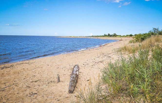 Ujście Wisły i Mewia Łacha - puste plaże i foki. Co tu zwiedzić? Jak zobaczyć foki? Wędrowne Motyle podpowiadają