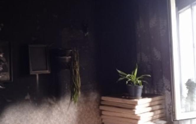 Pożar strawił dorobek ich życia. "Nie ocalał nawet widelec"