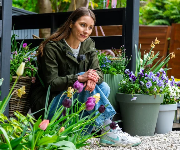 Tulipany przekwitły – co dalej? Pielęgnacja tulipanów PO sezonie