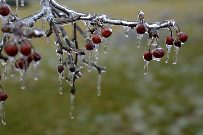 Pogoda na jutro. Deszcz ze śniegiem to tylko początek! Wichury nad morzem i w górach [Prognoza pogody 16.02.2022]