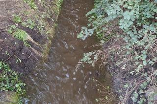 Dramat mieszkańców ul. Wykopaliskowej w Kaliszu. Ich domy są notorycznie zalewane 