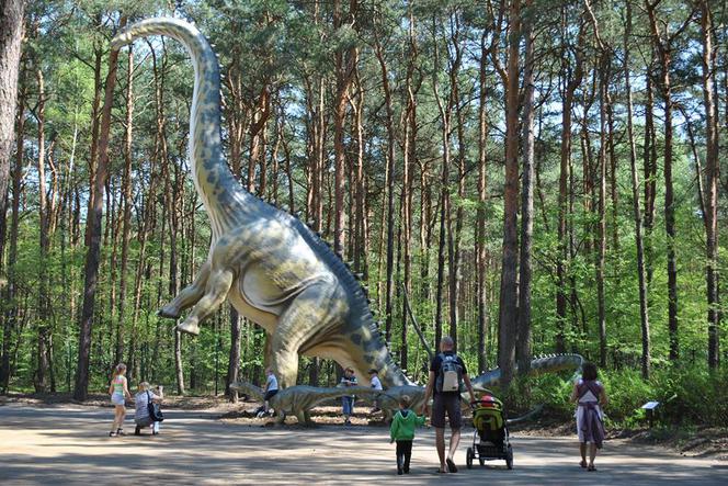 W sobotę na bydgoszczan czeka wiele atrakcji, m.in. Zaginiony Świat Dinozaurów w Myślęcinku