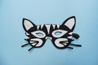 Maska kota. Jak zrobić maskę karnawałową krok po kroku