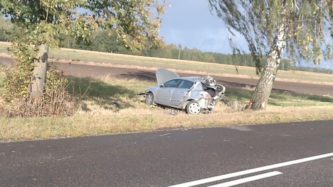 Tragedia na drodze w woj. lubelskim. Nie żyje 49-letnia kierująca