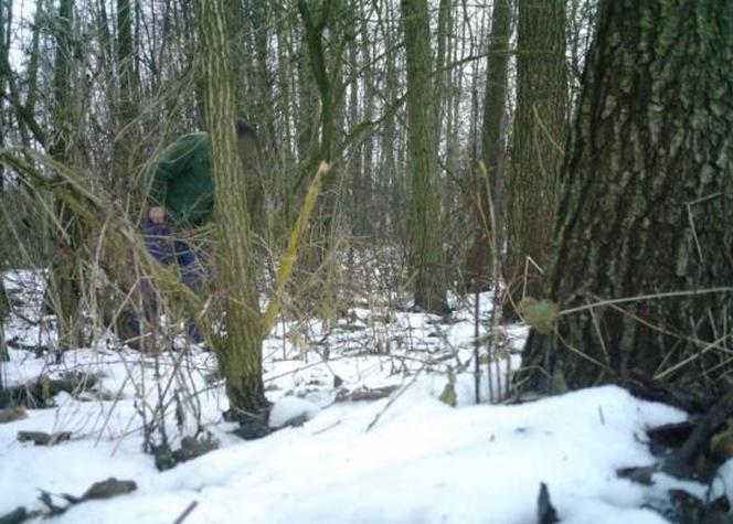 „Wnykarz usidlony”. Leśnicy zatrzymali kłusownika na Podkarpaciu 