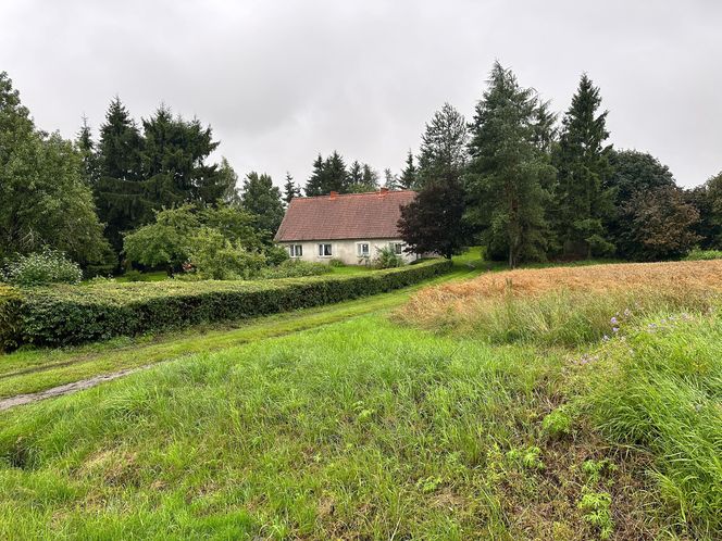 Koszmar w Janikach Wielkich. Syn zamordował rodziców