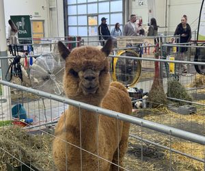 ZooPark w Lublinie. Dzień drugi