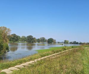 Monitorują i pakują worki z piaskiem. Powiat górowski przygląda się Odrze