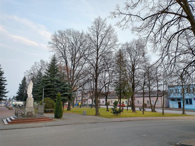 Godzinę od Warszawy leży „największy sad Europy”. To tu zabłądził sam król Kazimierz