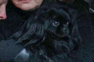 Ukochany pies Kamińskiego pożegnał go na pogrzebie