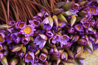 Życzenia imieninowe dla Bogusława. Mądre i pełne optymizmu pomysły na życzenia