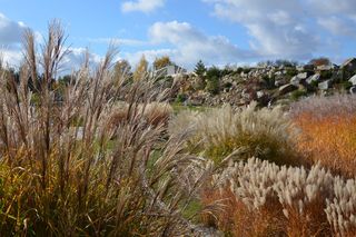 Ogród Botaniczny w Kielcach przed sezonem 2025