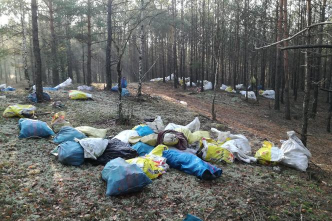 Wyrzucili hałdę śmieci do lasu. Zostali złapani. Na końcu sami wszystko posprzątali