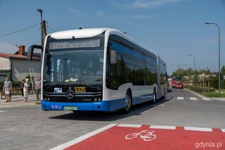 Darmowe bilety w Gdańsku, Sopocie i Gdyni. Komunikacja miejska w szczególnym dniu