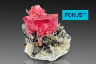 Seria „Poszukiwacze fortuny”