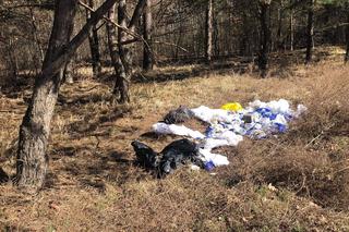 Odpady medyczne znalezione w lesie! Jak się tam znalazły? 