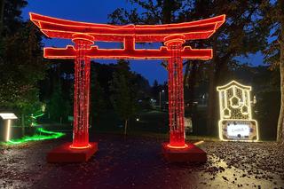 Lumina Park w Poznaniu. Multimedialny spacer w milionie świateł powraca w nowej odsłonie