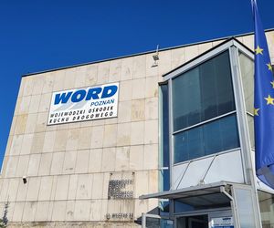 Podwyżki w WORD za szkolenia dla kierowców łamiących przepisy