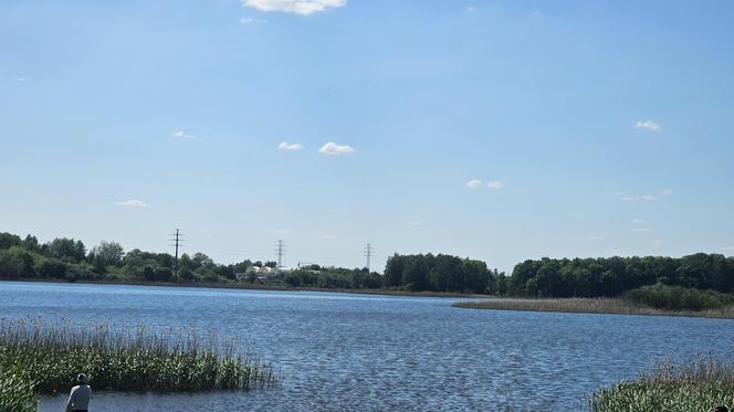 Było, zniknęło i... powróciło. Zobacz magiczne jezioro Track na obrzeżach Olsztyna [ZDJĘCIA]