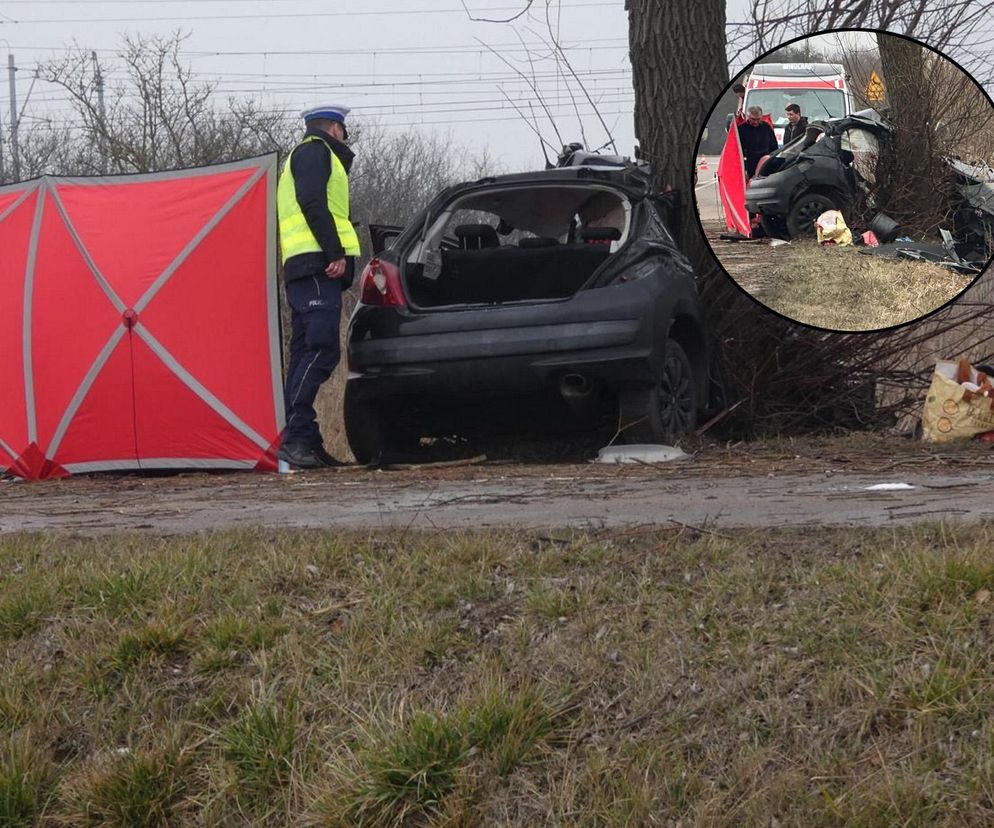 Poważny wypadek pod Warszawą. Malutki peugeot uderzył w drzewo. Nie żyją dwie osoby