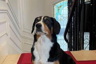 Kwaśniewska z Badachem w Paryżu 